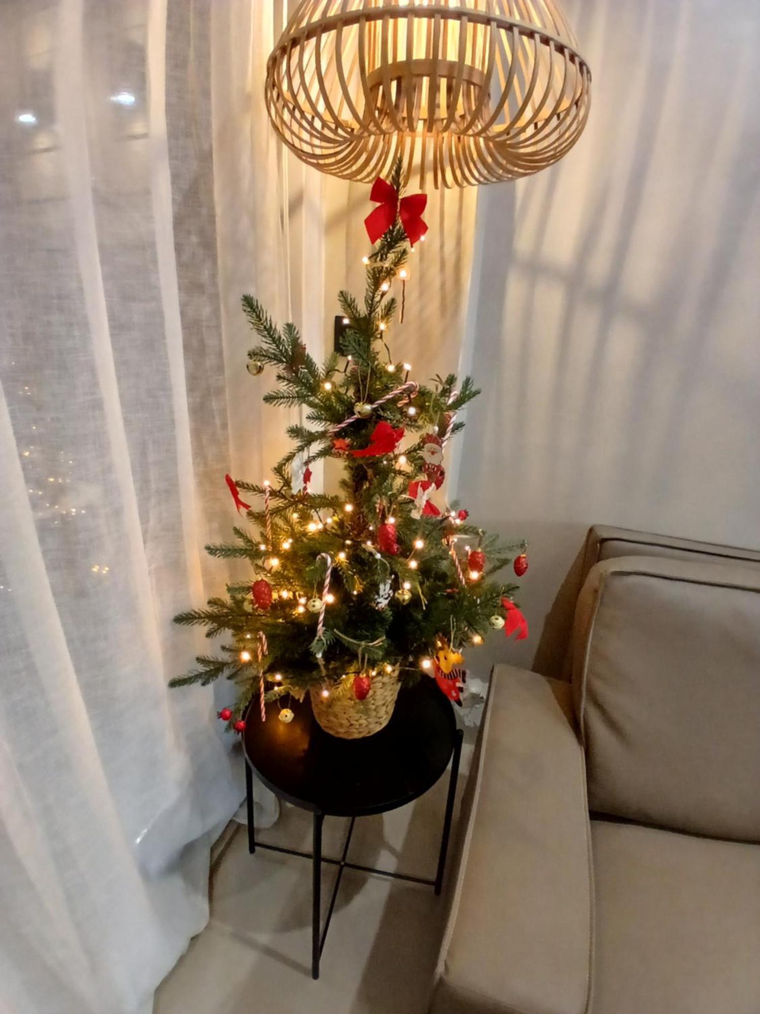 Apartment ύρια House's